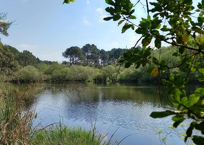 Charming With Balcony And Golf View